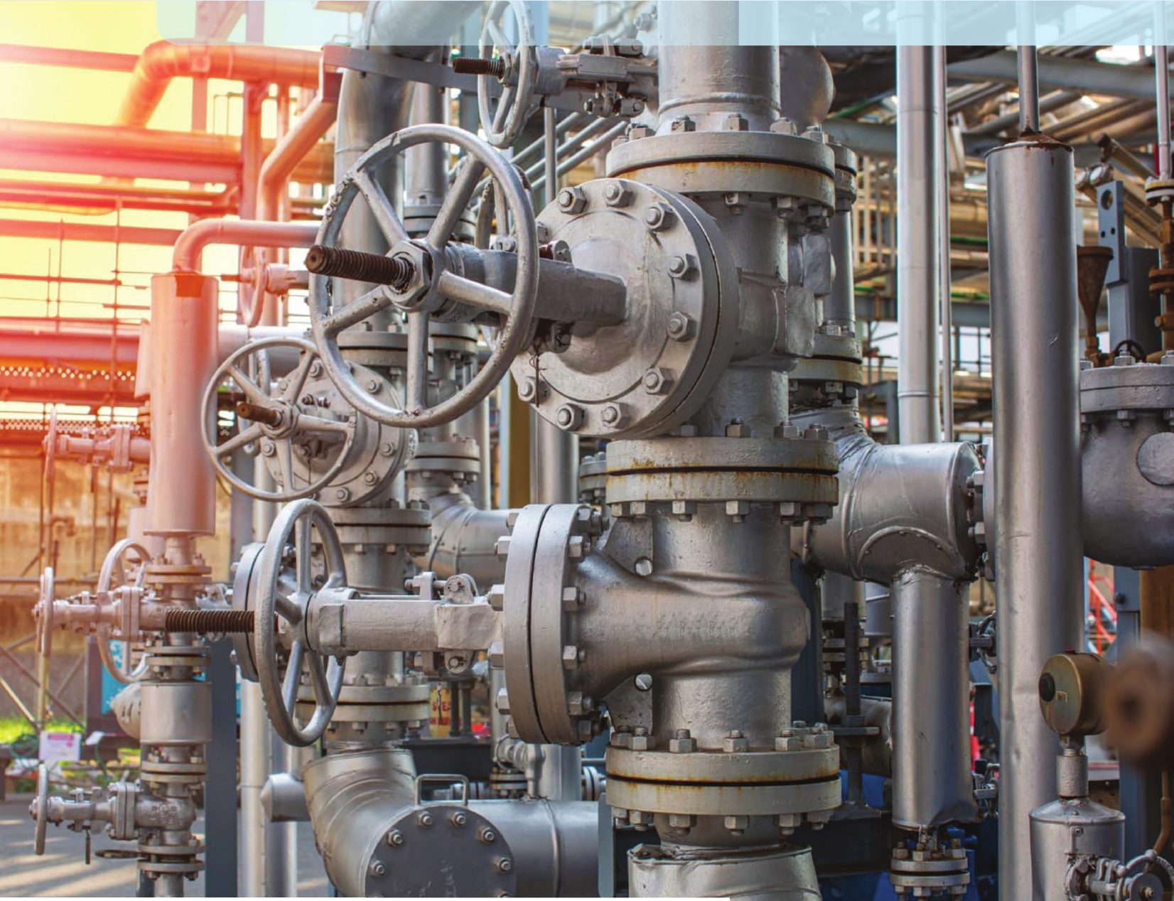 Process plant valves and pipework